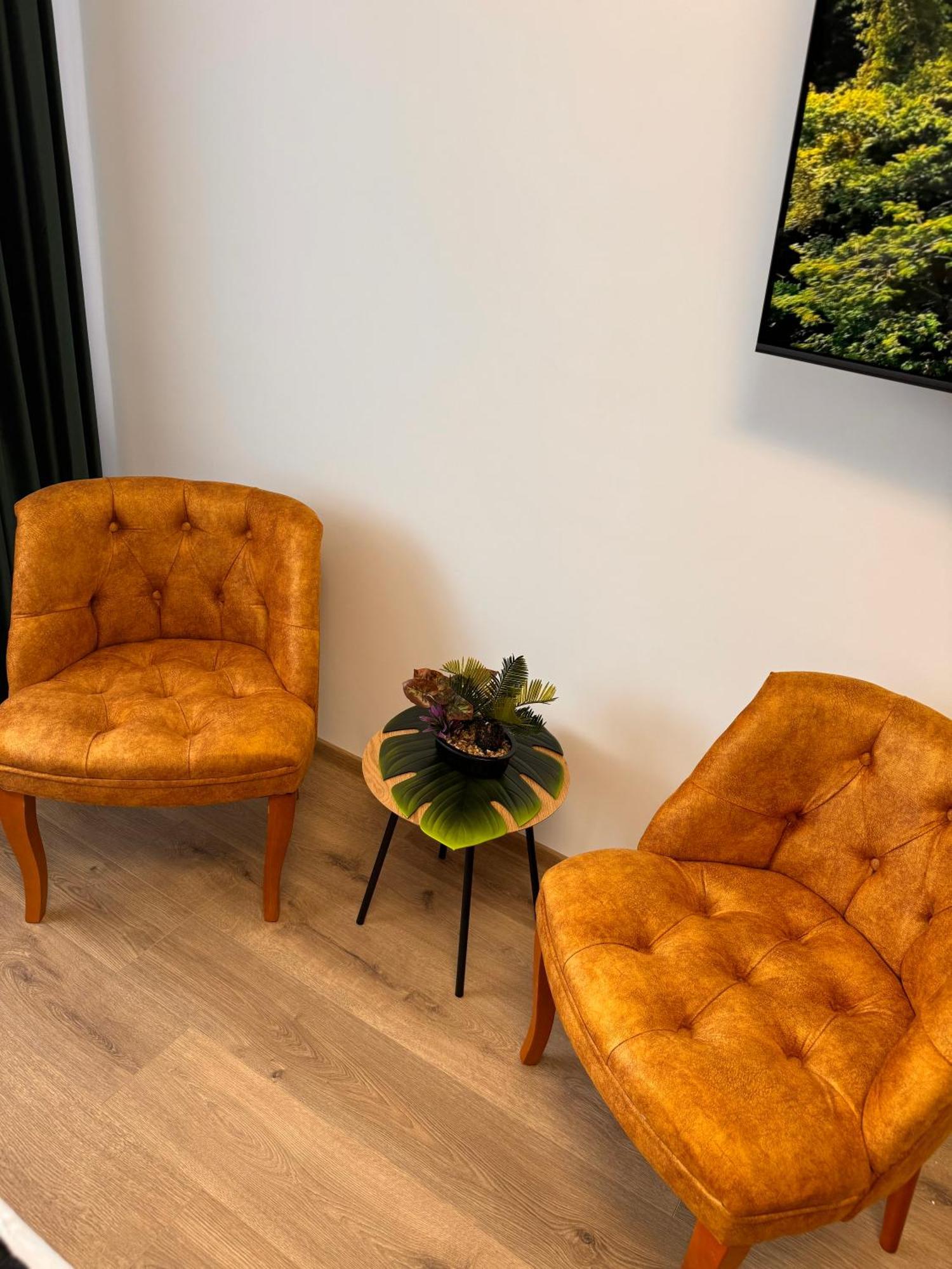 Apartamento Jungle Loft Suceava Exterior foto